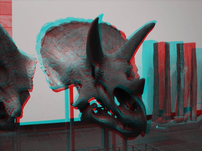 Triceratops als Anaglyphen-Bild
